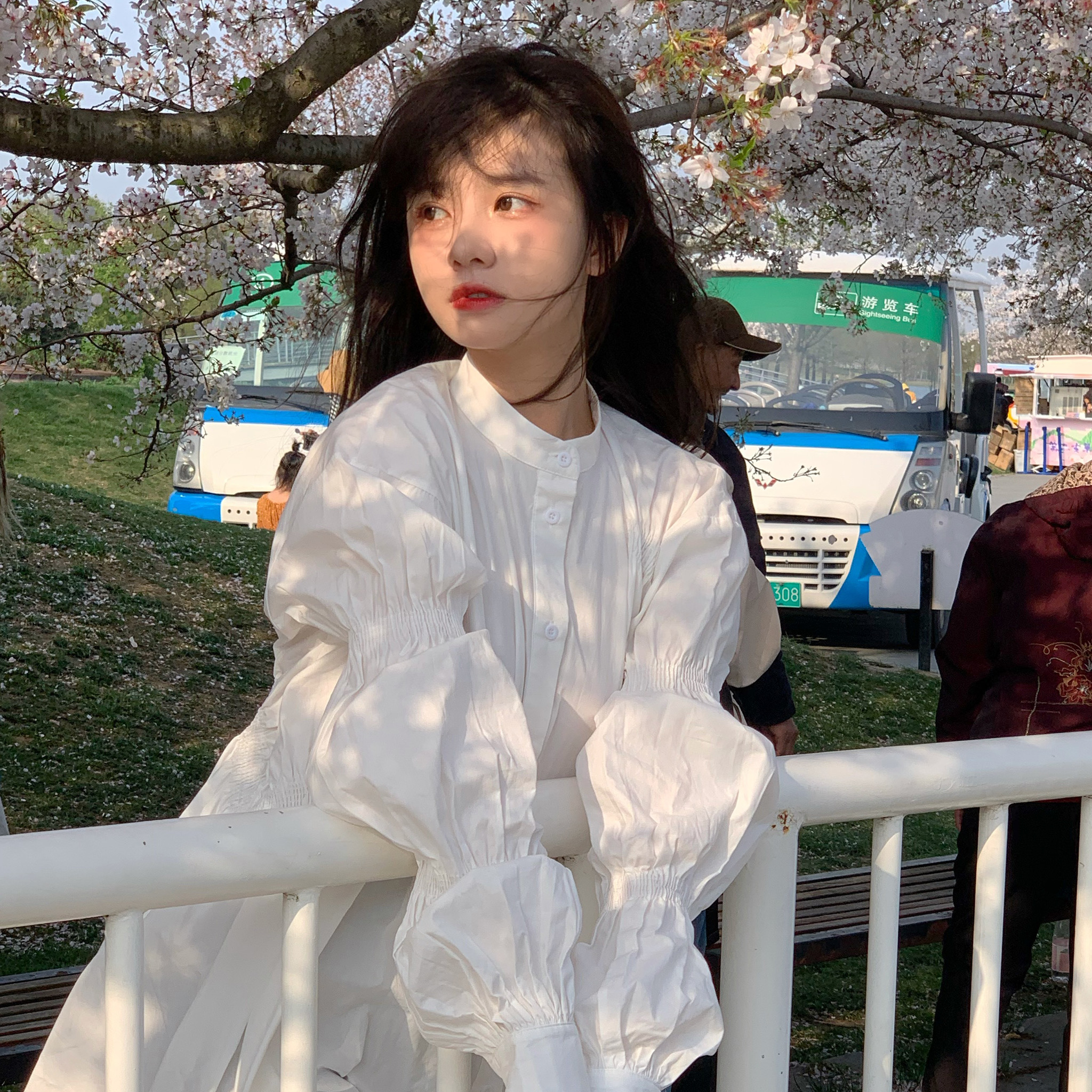 武田观柳（身份：恶德实业家、操纵鸦片贸易） - 多语言字幕在线观看 - 云端看剧